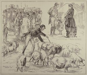 Boikotointi Irlannissa, The Illustrated London News, 4. lokakuuta 1886