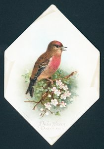 Brambling, uudenvuoden kortti tekijältä English School