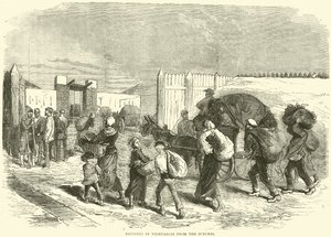 Vihannesten tuominen lähiöistä, lokakuu 1870 tekijältä English School