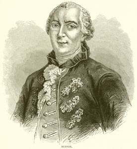 Buffon tekijältä English School