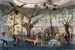 Bullocks Museum, 22 Piccadilly, Lontoo, Ackermanns Repository of Arts, 1809 tekijältä English School
