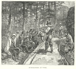 Busch-Räuber bei der Arbeit (Gravur) von English School