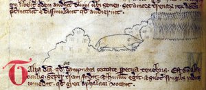 CCA-LitMs/D/10 fol. 11v Mole, Bestiarysta tekijältä English School