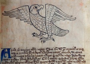 CCA-LitMs/D/10 fol. 13r Eagle, Bestiarysta tekijältä English School