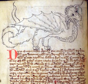 CCA-LitMs/D/10 fol. 24v Dragon, Bestiarysta tekijältä English School