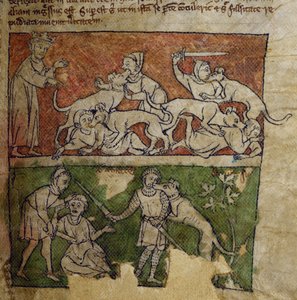 CCA-LitMs/D/10 fol. 6r koira, Bestiarysta tekijältä English School