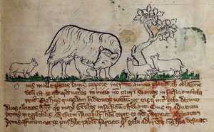 CCA-LitMs/D/10 fol. 8r Lampaat, Bestiarysta tekijältä English School