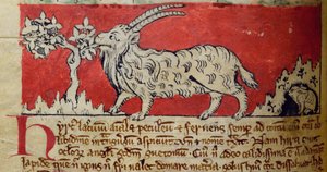 CCA-LitMs/D/10 fol. 8v Goat, Bestiarysta tekijältä English School