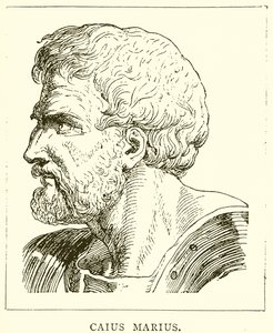 Caius Marius tekijältä English School