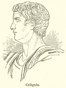 Caligula tekijältä English School