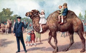 Kameli kantaa lapsia, Lontoon eläintarha (väri litho) tekijältä English School