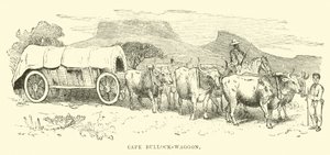 Cape Bullock-vaunu