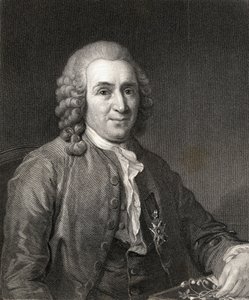 Carl von Linne tai Linnaeus (1707-78) Galleria of Portraits, julkaistu vuonna 1833 tekijältä English School