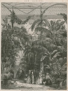 Suuren palmutalon keskus Kew
