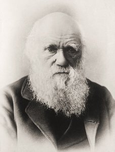 Charles darwin tekijältä English School