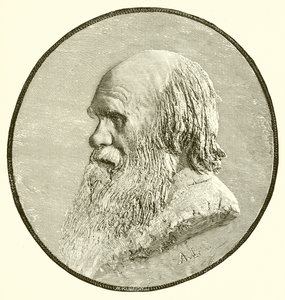 Charles darwin tekijältä English School