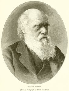 Charles darwin tekijältä English School