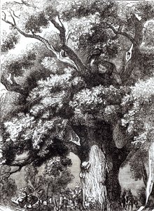 Kaarle II (1630-85) Piilotettu tammipuuhun, 14. lokakuuta 1651 tekijältä English School
