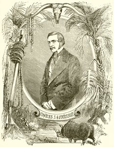 Charles J Anderson tekijältä English School