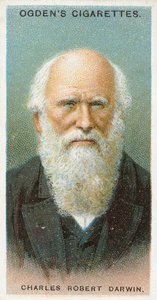 Charles Robert Darwin tekijältä English School