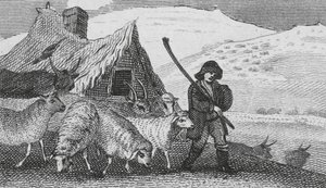 Cheviot Shepherds (kaiverrus) tekijältä English School