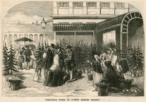 Joulukuuset Covent Garden Marketissa Lontoossa tekijältä English School
