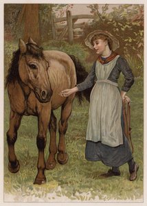 Clever Dobbin (chromolitho) tekijältä English School
