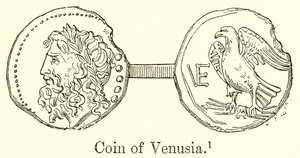 Venusian kolikko tekijältä English School