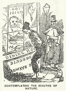 Betrachtung der Schönheiten der Natur (Gravur)