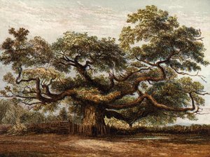 Crouch Oak, Addlestone tekijältä English School