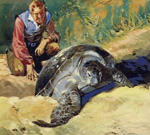 Darwin ihmetteli, miksi Galapagossaarten jättiläiskilpikonnat erosivat toisistaan jokaisella saarella tekijältä English School