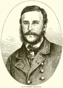 David Herbert Llewellyn tekijältä English School