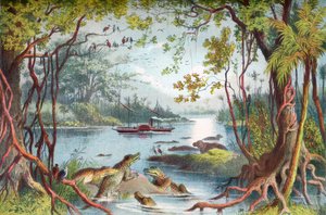David Livingstonen laiva Ma-Robert Zambezi-joella, Afrikassa, hänen Zambezi-matkansa aikana 1800-luvulla. The Life and Explorations of Dr. Livingstone julkaistu n.1875. tekijältä English School