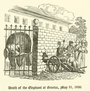 Elefantin kuolema Genevessä, 31. toukokuuta 1820 tekijältä English School