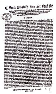 Lordien julistus, jossa todetaan Earl of Bothwellin lordi Darnleyn murhaaja, 1567 (kynä ja muste paperilla) tekijältä English School