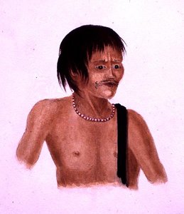 Demerara (akvarelli paperille) tekijältä English School