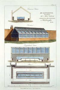 Design for An Aquarium, toteutettu The Marquis of Blandfordille Whiteknightsissa, 1806 tekijältä English School
