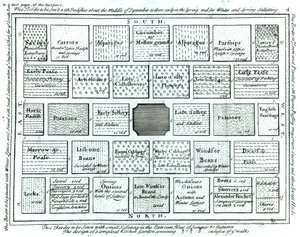 Suunnittelu valmiille keittiöpuutarhalle, teoksesta New Principles of Gardening, Betty Langley, 1726 tekijältä English School