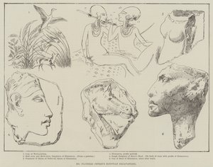 Tohtori Flinders Petrien Egyptin kaivaukset (kaiverrus) tekijältä English School