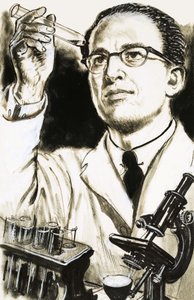 Tohtori Jonas Salk, poliorokotteen luoja, katsoo koeputkea tekijältä English School
