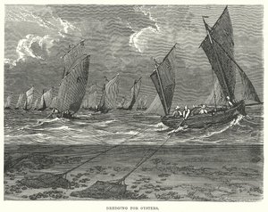 Osterien ruoppaaminen (kaiverrus) tekijältä English School