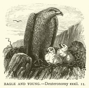 Eagle and Young, Deuteronomy, xxxii tekijältä English School
