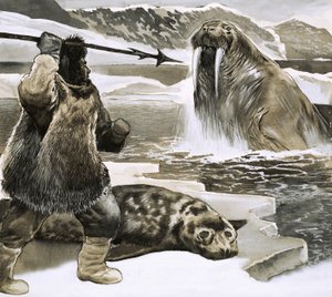 Eskimo hyökkää mursun kimppuun tekijältä English School