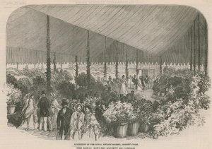 Royal Botanic Societyn näyttely tekijältä English School