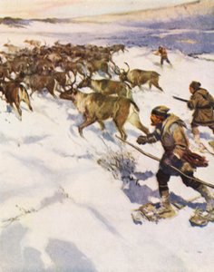 Tekijä John McLean kerää karibulaumaa Labradorissa Hudson