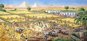 Maanviljely Egyptissä tekijältä English School