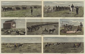 Huonekalut ja erilaiset esineet 1100- ja 1300-luvuilta