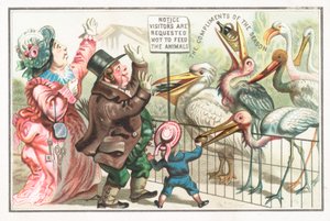 Lintujen ruokinta eläintarhassa, joulukortti tekijältä English School