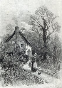Ensimmäiset kukat, Leisure Hour, 1888 tekijältä English School