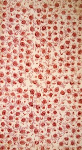 Floral Endpaper käsinvärinen kaiverrus. tekijältä English School
